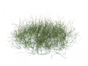 nature collection 3D 模型