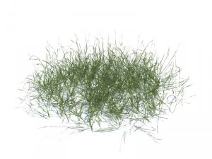 nature collection 3D Model
