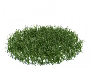 nature collection 3D Model