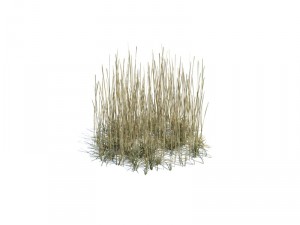 nature collection 3D 模型