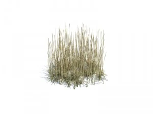 nature collection 3D Model