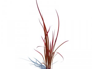 nature collection 3D 模型
