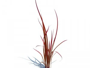nature collection 3D Model
