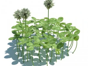 nature collection 3D Model