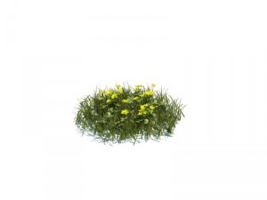 nature collection 3D 模型