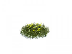 nature collection 3D Model