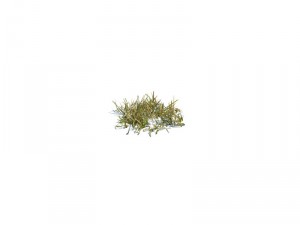 nature collection 3D 模型
