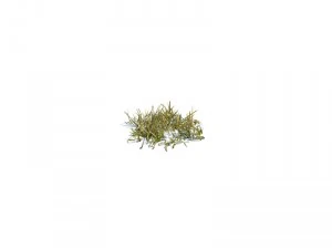 nature collection 3D Model