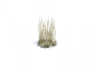 nature collection 3D 模型