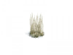 nature collection 3D Model