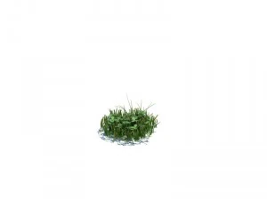 nature collection 3D Model