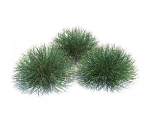 nature collection 3D 模型