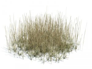 nature collection 3D Model