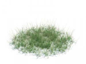 nature collection 3D Model
