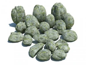 nature collection 3D Model