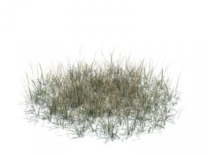 nature collection 3D Model