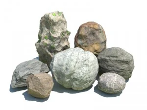 nature collection 3D Model