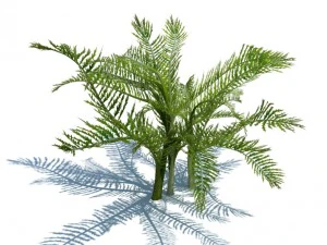 nature collection 3D Model