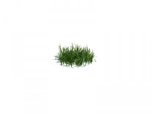 nature collection 3D Model