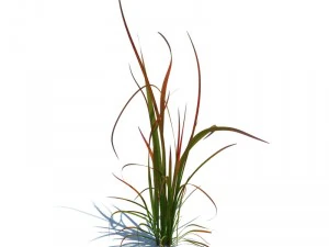 nature collection 3D Model