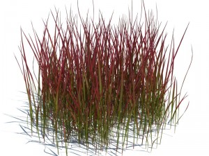 nature collection 3D 模型