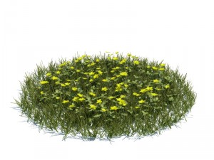 nature collection 3D 模型