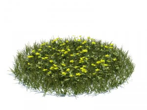 nature collection 3D Model
