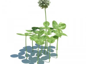 nature collection 3D Model