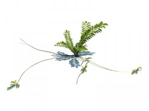nature collection 3D Model