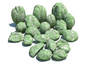 nature collection 3D 模型