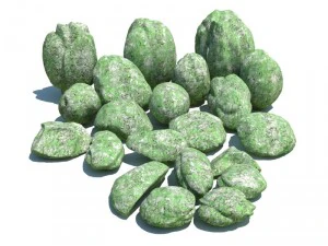 nature collection 3D Model