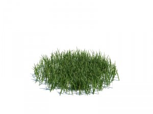 nature collection 3D 模型