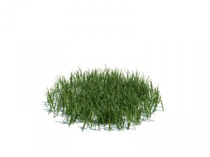 nature collection 3D Model