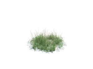 nature collection 3D 模型