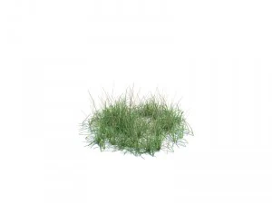 nature collection 3D Model