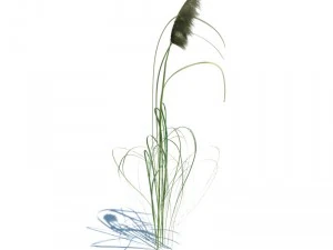 nature collection 3D Model