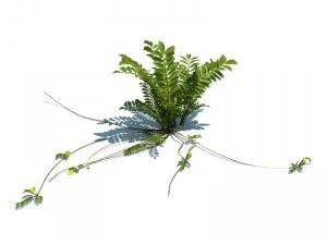 nature collection 3D Model