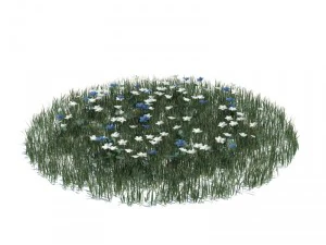 nature collection 3D Model