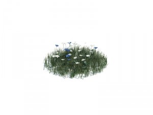 nature collection 3D 模型