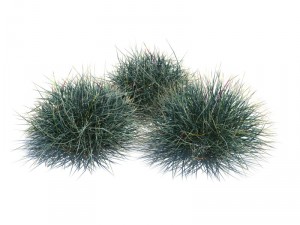 nature collection 3D 模型