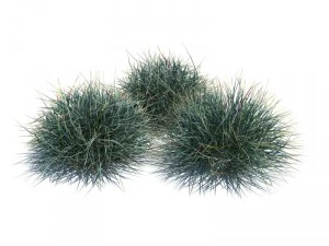 nature collection 3D Model