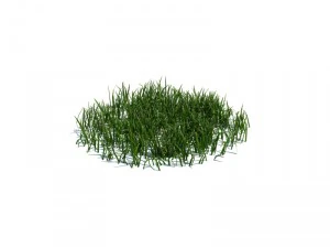 nature collection 3D Model