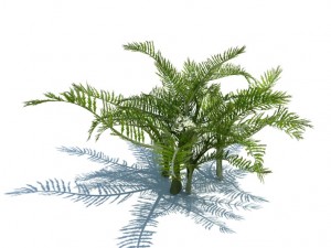 nature collection 3D 模型