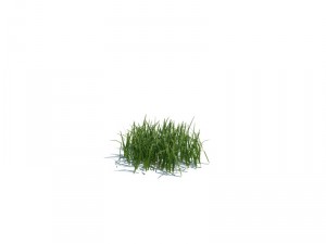 nature collection 3D 模型