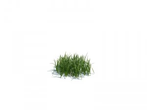 nature collection 3D Model