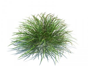 nature collection 3D 模型