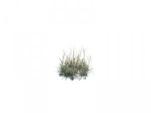 nature collection 3D 模型