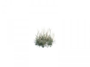 nature collection 3D Model