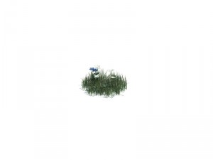 nature collection 3D 模型