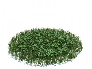 nature collection 3D 模型